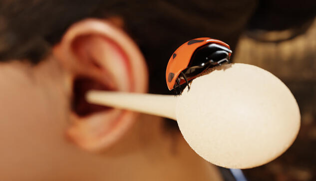 Earbug