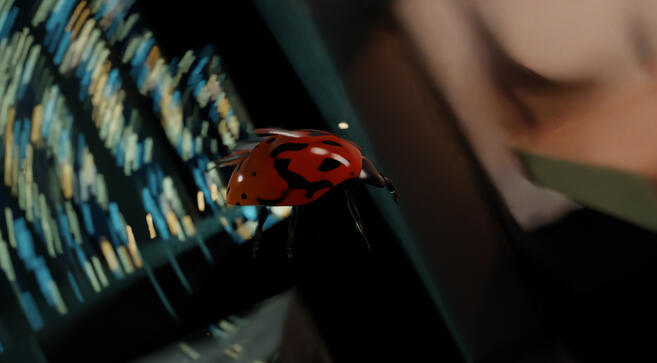 Ladybug